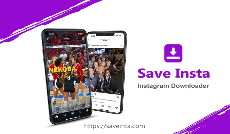 SaveInsta : Instagram Downloader